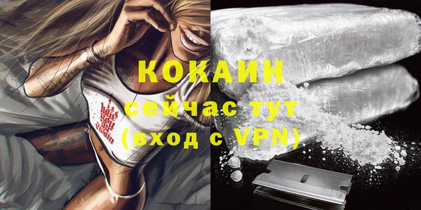 гашик Краснослободск