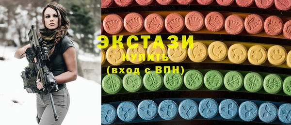 гашик Краснослободск