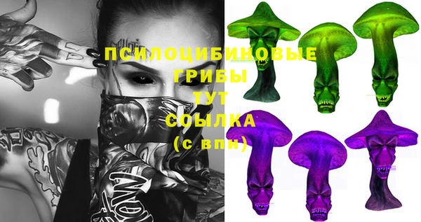 гашик Краснослободск