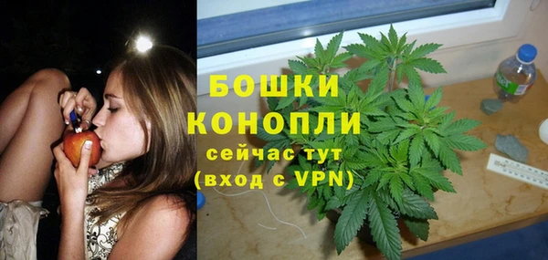 гашик Краснослободск