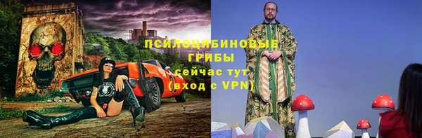 гашик Краснослободск